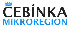 Primary Raster logo